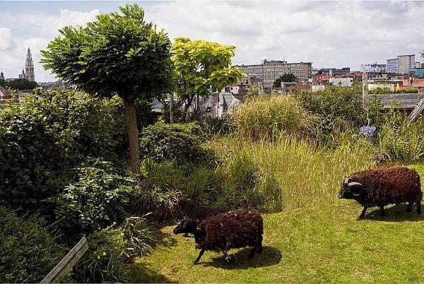 Ferme à Anvers Ferme à Anvers